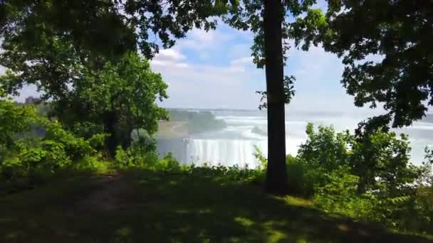 Majestic View Niagara Falls Lush Trees Foreground — Stockvideo