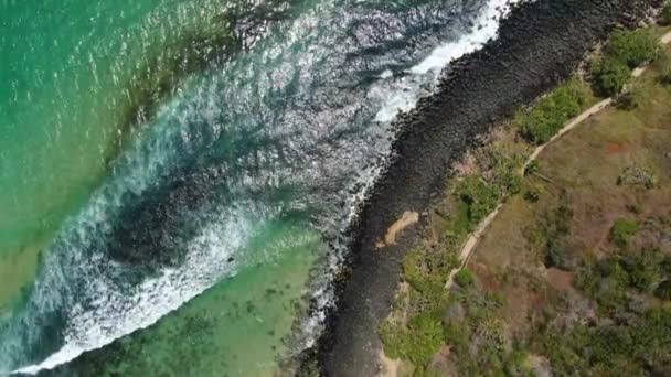 Waves Hitting Shoreline Burleigh Heads Gold Coast Aerial Overhead — Video