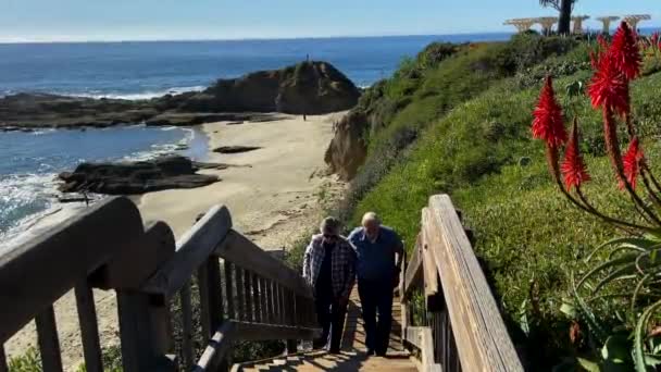 Senior Couple Beach Walking Stairs Sunny Day — Wideo stockowe