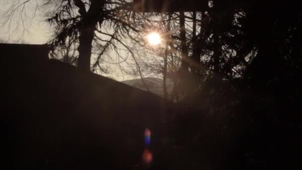 Sun Stars Sun Shines Overhanging Trees Building — Vídeo de stock