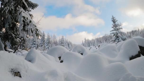 White Clouds Time Lapse Forest Covered Fresh Snow Europe — Vídeo de Stock