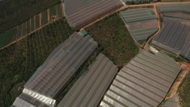 Top Drone Shot Agricultural Land Dalat Central Highlands Vietnam Sunny — Stock video