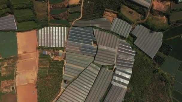 Top Drone Shot Agricultural Land Featuring Greenhouses Village Dalat Central — Video