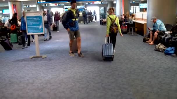 Camera Follows Woman Dragging Roll Suitcase Airport Night — Stockvideo