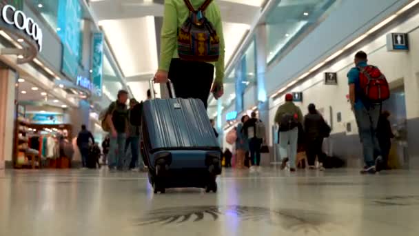 Womans Legs Luggage She Walks Busy Airport — Vídeos de Stock