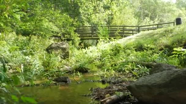 Wooden Bridge Running Creek Beautiful Lush Forest Swedish Town Partille — Wideo stockowe