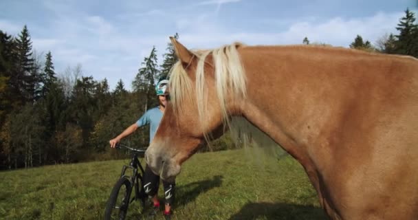 Medium Shot Downhill Biker Walks Brown Horse Pine Trees Blue — Vídeo de Stock