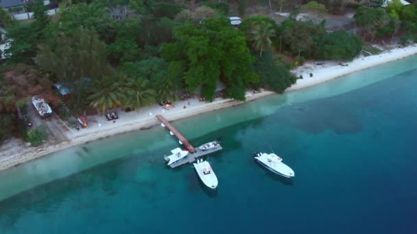 Static Aerial View Spedboats Dock Tropical Island Exotic Destination Twilight — Αρχείο Βίντεο
