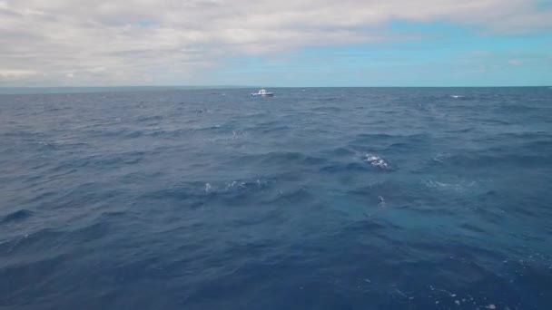 Aerial View Abandoned Boat Middle Tropical Sea Endless Horizon — Vídeos de Stock