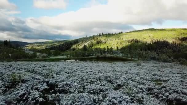 Drone Tiro Nieve Ligeramente Desempolvado Largo Prado Montañas Verdes Ven — Vídeo de stock