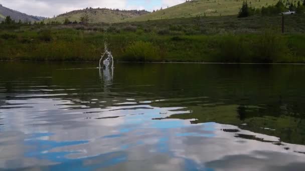 Fishing Hook Seen Dropping Pond Green Meadow Seen Surrounding Pond — Wideo stockowe