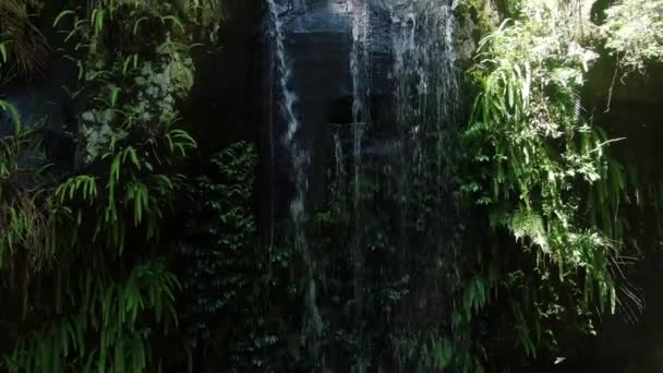 Rising Footage Curtis Falls Tamborine Rain Forest Creek Summers Day — стокове відео