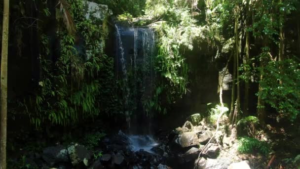 Approaching Curtis Falls Tamborine Rain Forest Creek Summers Day Queensland — Video