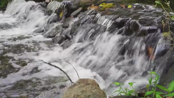 Small Waterfall Creek Water Tumbling Rocks Peaceful Summers Day Rain — Stock Video