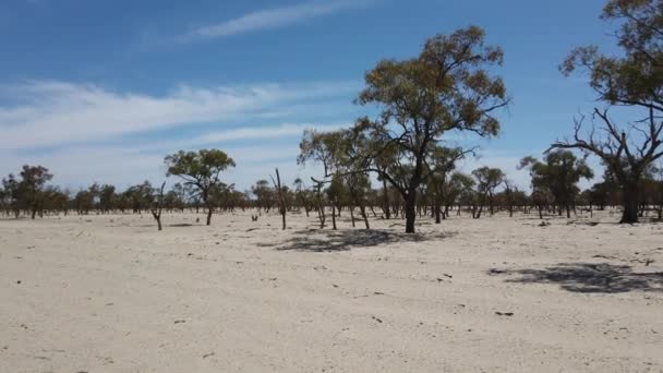Dry Grey Dirt Outback Australia — Vídeos de Stock