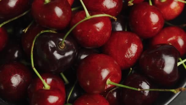 Tracking Shot Bowl Cherries — Wideo stockowe