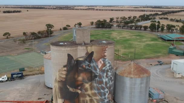 Murals Grain Silos Australia — Stock Video