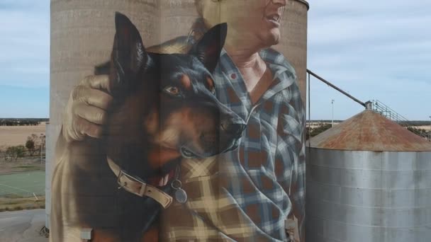 Huge Cattle Dog Mural Wheat Silo — Stockvideo