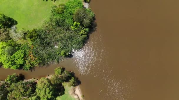 Zejście Strumienia Rzeki Brązowa Woda Deszczu Słońce Świecące Nad Wodą — Wideo stockowe