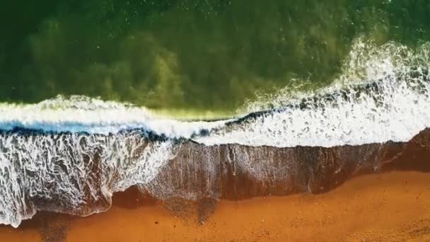 Aerial Waves Crash Beach Barcelona Spain Shot Drone — Stock videók
