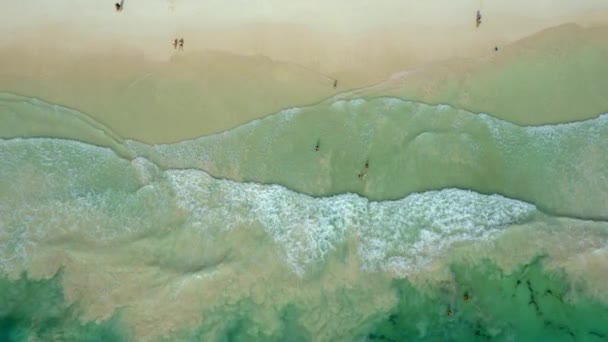 Overhead View Ocean Waves Rolling Seashore — Vídeo de stock