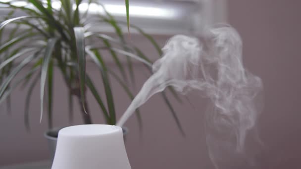 Ефірний Масляний Дифузор Туман Всередині Спальні — стокове відео