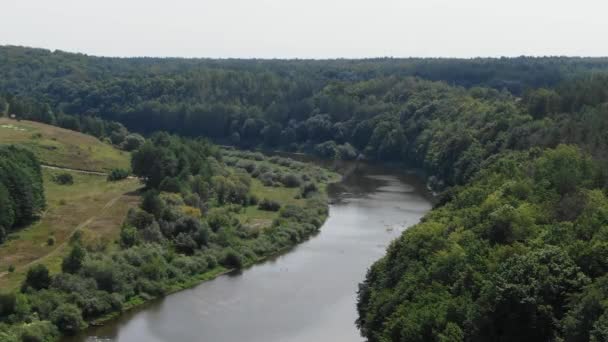 Aerial View River Bordered Thick Forest — Stockvideo