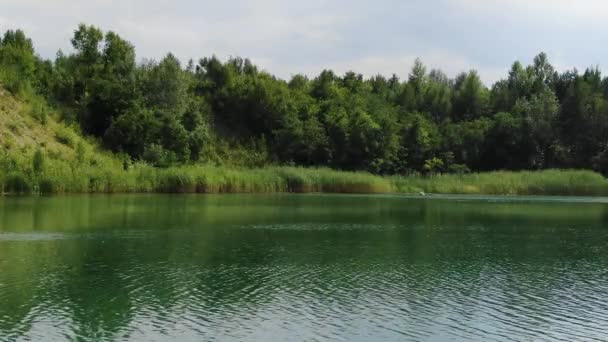 Baixo Tiro Estático Calmo Lago Verão Cercado Pela Floresta — Vídeo de Stock