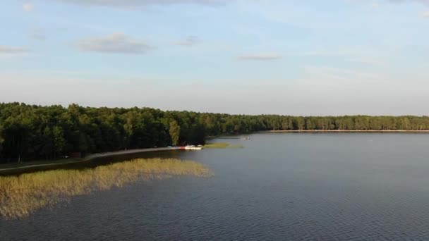 Aerial View Beach Lake Summer Evening Surrounded Forest — 图库视频影像