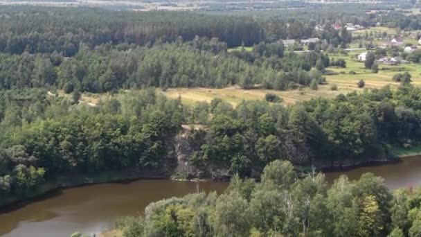 Aerial View River Bordered Forest Approaching Cliff Field Background — Video Stock