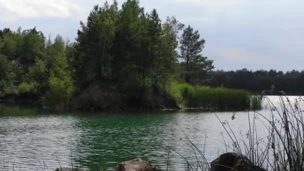 Vista Baja Del Hermoso Lago Verano Con Hierba Primer Plano — Vídeos de Stock