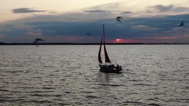 Low Aerial View Sailboat Silhouette River Sunset Birds Flying Frame — Stock video