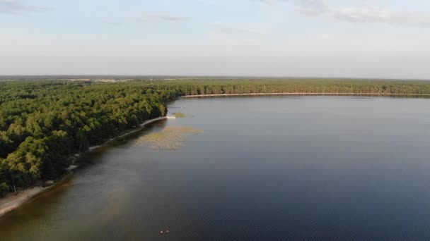 Aerial View Lake Summer Evening Dense Forest Background — Stock Video