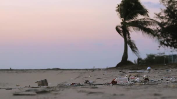 Playa Tropical Sucia Con Basura Basura Residuos Plásticos Arena Arrastrada — Vídeo de stock