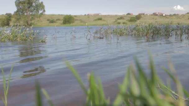 Static Shot Dam Wind Blowing — Vídeo de Stock