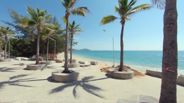 Aerial Dolly Fly Palm Trees Flying Closely Them Revealing Tropical — Vídeo de Stock