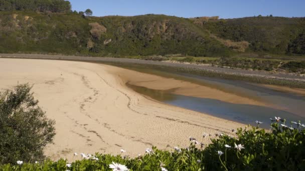 Portekiz Costa Vicentina Daki Praia Ophixe Plajı — Stok video