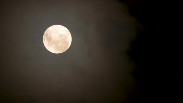 Full Glowing Moon Clouds Being Blown Winds Storm Nights — Stock video