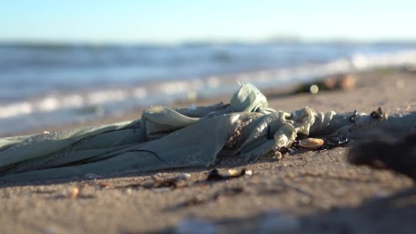 Gran Problema Social Contaminación Costa Detalle Playa Arena Plástico — Vídeos de Stock