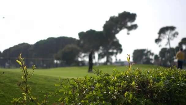 Blurred Background Golf Players — Αρχείο Βίντεο