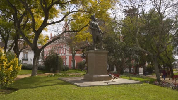 Veřejná Zahrada Evoře Projíždějícím Pávem Evoře Portugalsko — Stock video