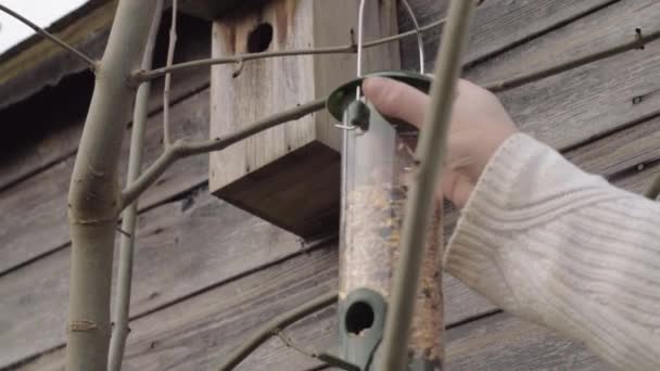 Hand Opknoping Vogel Feeder Vol Van Wilde Vogel Zaad Boom — Stockvideo