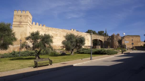 西班牙巴达霍斯花园外的城堡 — 图库视频影像