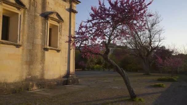 Hermitage Van Nossa Senhora Conceicao Tomar Portugal — Stockvideo