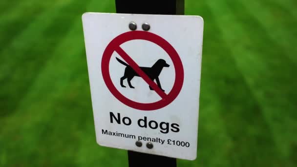 Sign Prohibiting Dogs Park — Stock video