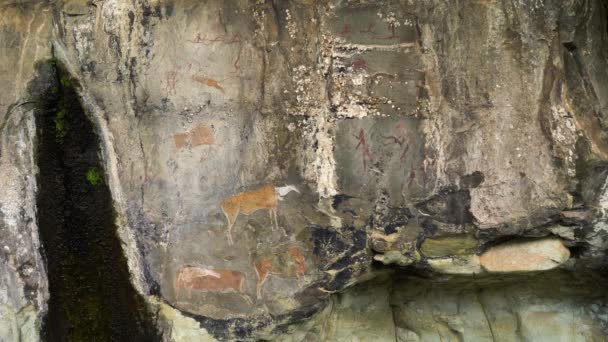 Αρχαίες Ζωγραφιές Σπήλαιο Στα Βουνά Του Drakensberg Στη Νότια Αφρική — Αρχείο Βίντεο