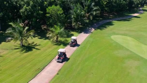 Tourist Enjoy Driving Golf Cart Field Sunny Day Aerial Shot — Video Stock