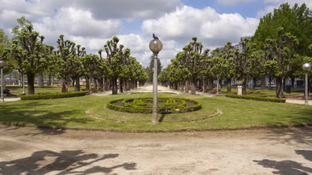 Parc Manuel Braga Coimbra Portugal — Video