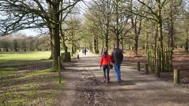 Casal Andar Braço Dado Juntos Dunham Massey Uma Casa Georgiana — Vídeo de Stock