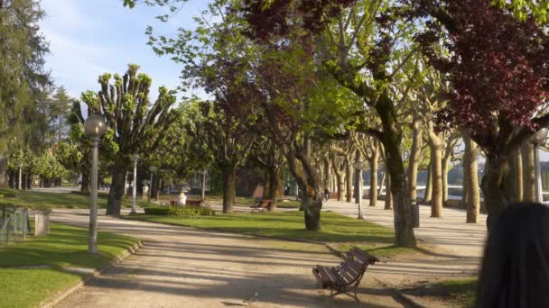 Parc Manuel Braga Coimbra Portugal — Video